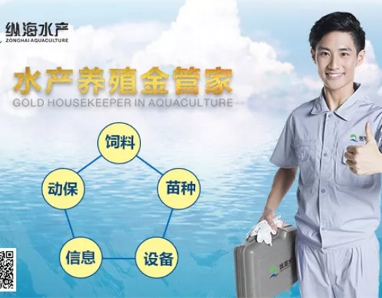 每斤卖多3-5元！5钱以上幼龙虾占70%以上，头幼尾大，虾农都很中意！