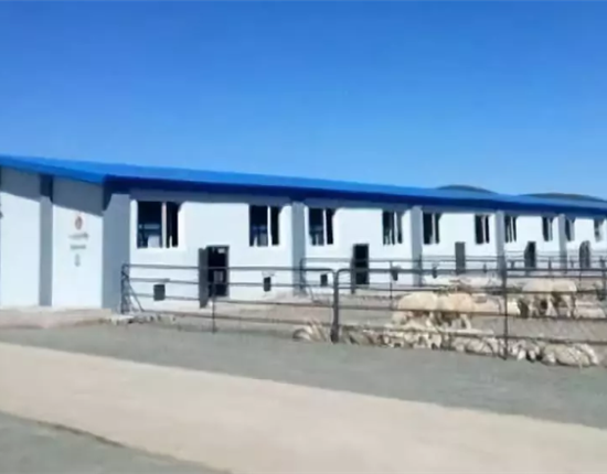 母猪产仔率低？这3个问题你肯定要把稳！