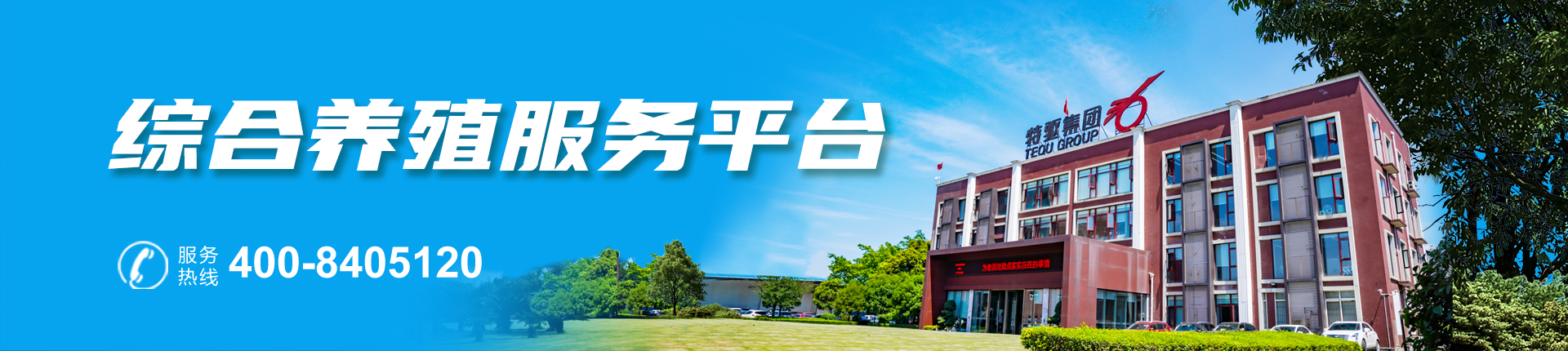 饲料